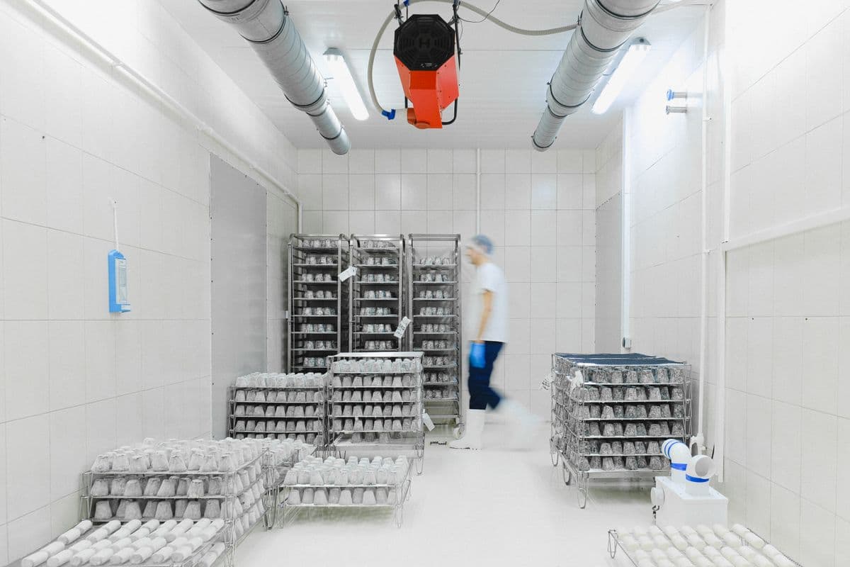 Temperature-controlled food storage room with wheeled storage racks