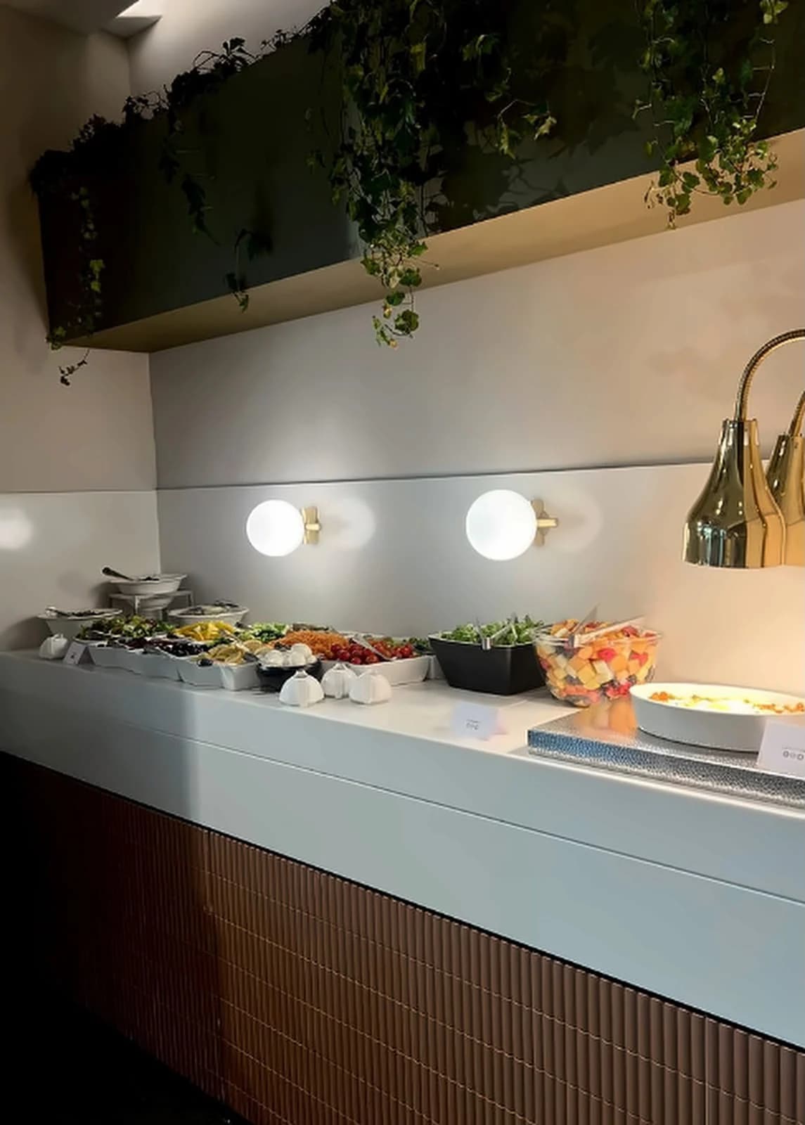 Kelvora buffet counter with food display and service lighting
